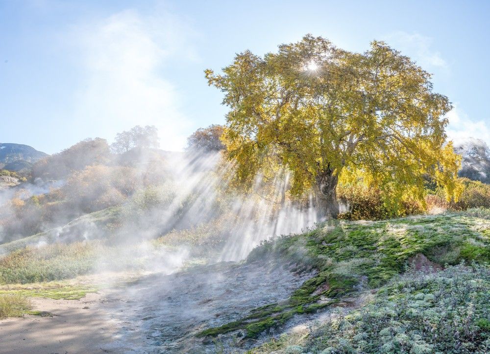 Photograph by Дмитрий Моисеенко