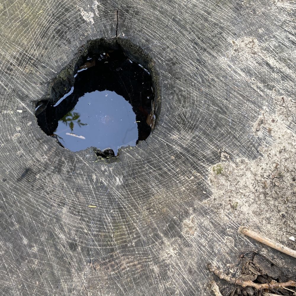 Photograph by Сергей Смирнов