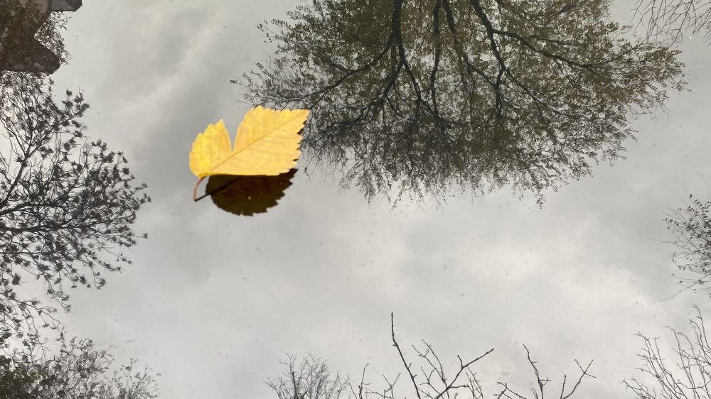 Photograph by Сергей Смирнов