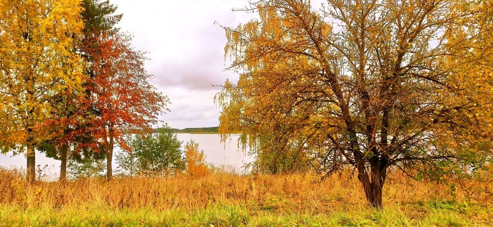 Photograph by AndreY SivkoV