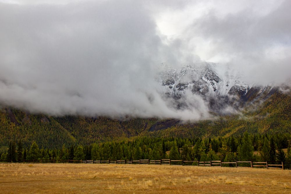 Photograph by Елена Павлова