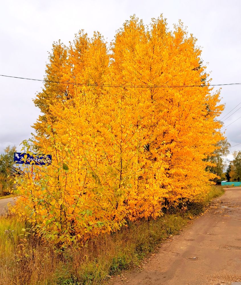 Photograph by AndreY SivkoV