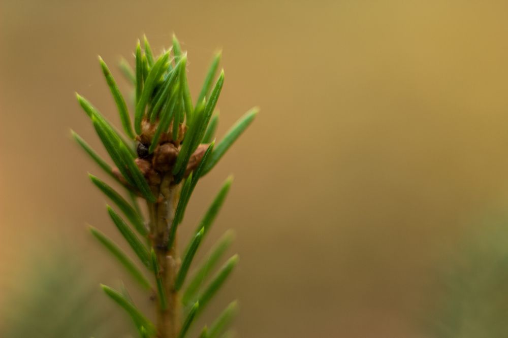 Photograph by Иван