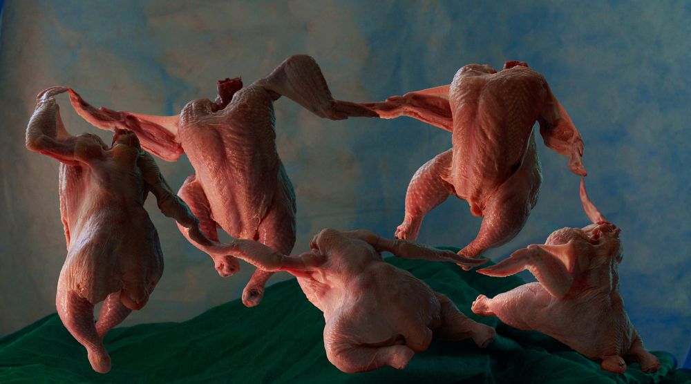 Photograph by Ашкинази-Исаченко Владимир