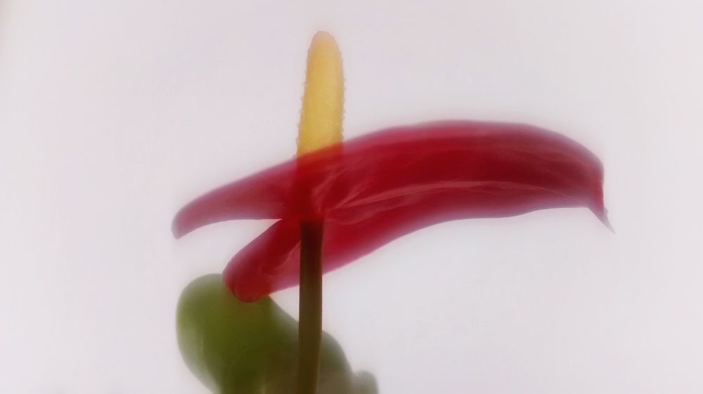 Photograph by Елена Силантьева