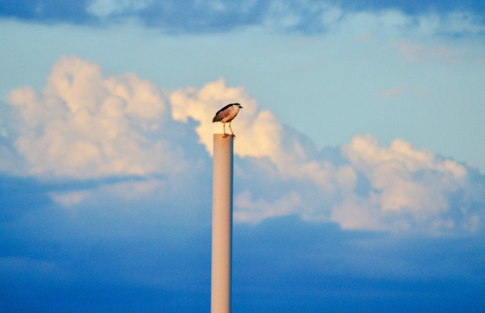 Photograph by Andre Nunes