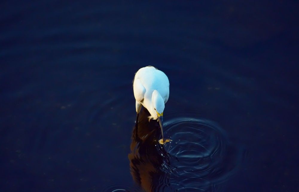 Photograph by Andre Nunes