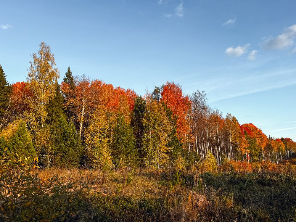 Photograph by Татьяна