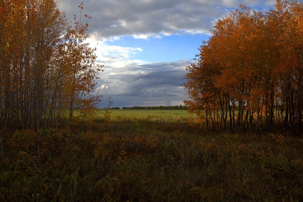 Photograph by ANDREY KISELYOV