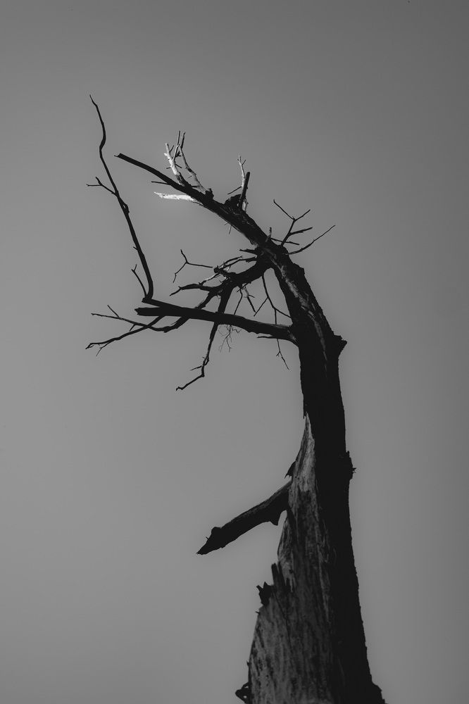 Photograph by Баскакова Алиса