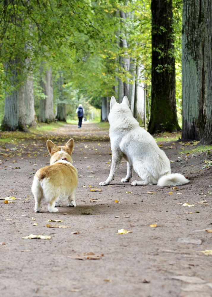 Photograph by Юлия Сидорова