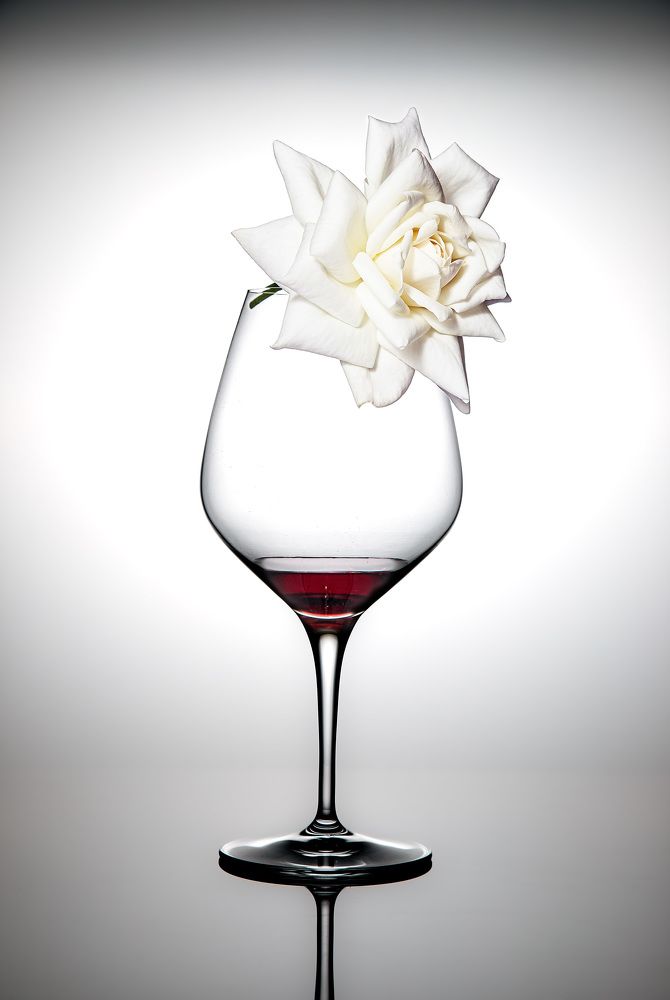 Photograph by Елена Овчинникова