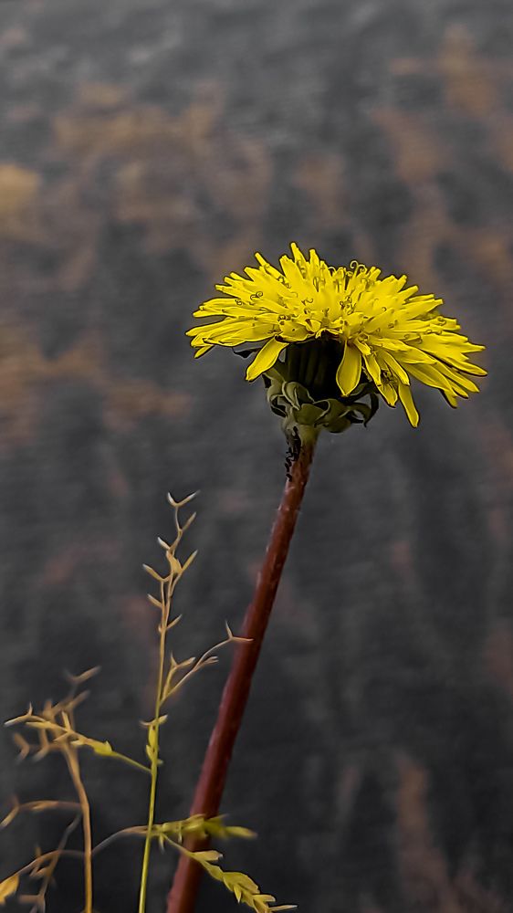 Photograph by mahdi ghanbari