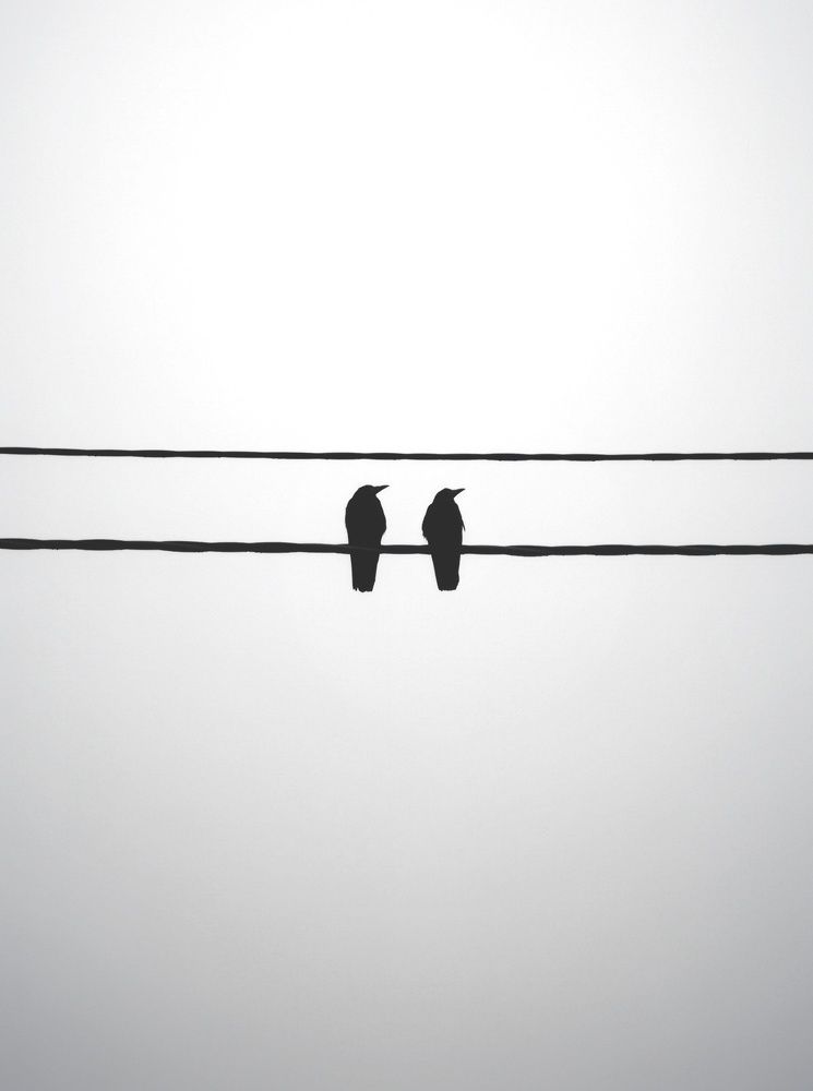 Фотография автора Геннадий Ломеко