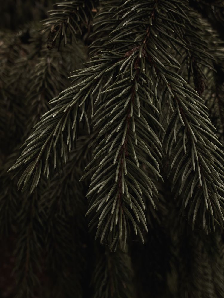 Photograph by Марат Болатханов