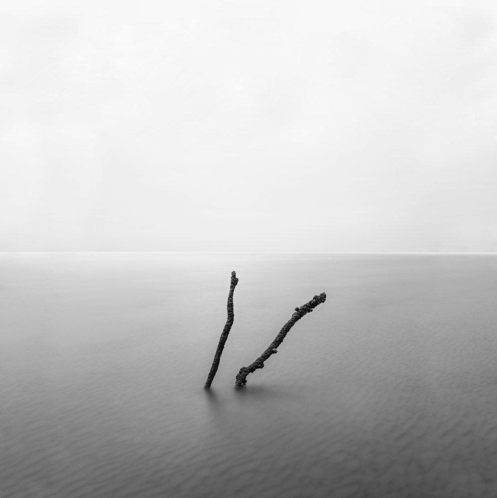 Photograph by mani shahzadeh