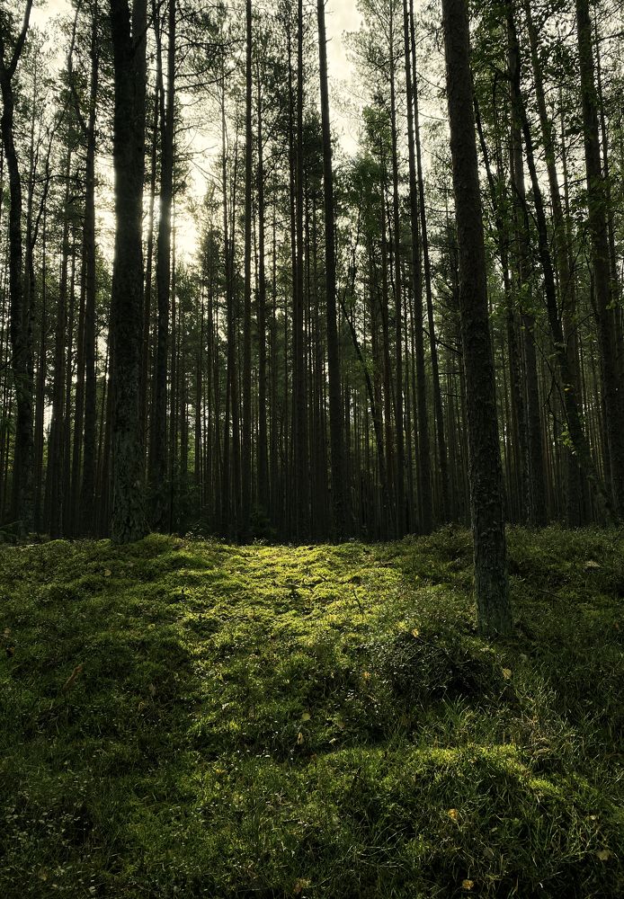 Photograph by Марат Болатханов