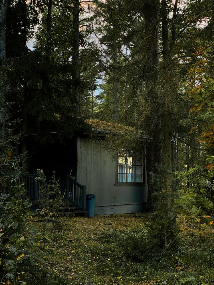 Photograph by Марат Болатханов