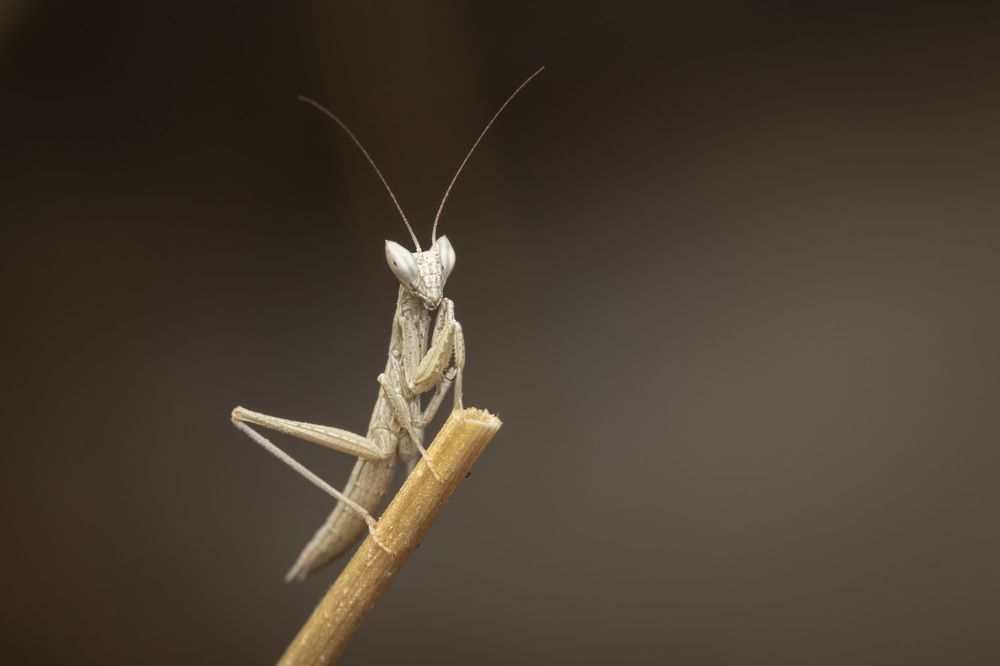 Фотография автора Nikolay Tatarchuk