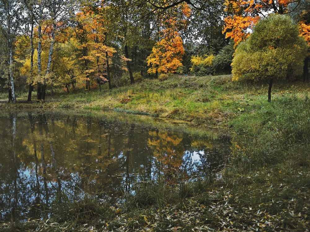 Осень в старом парке