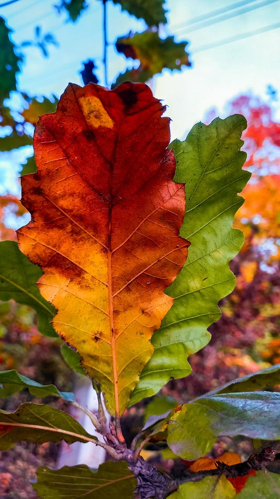 Photograph by mahdi ghanbari