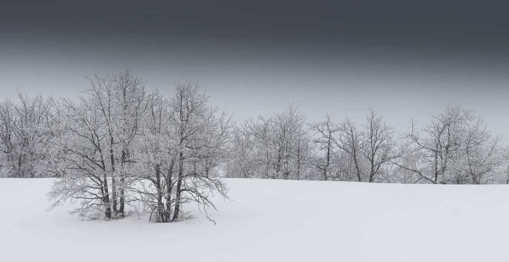 Фотография автора Антонов Антон