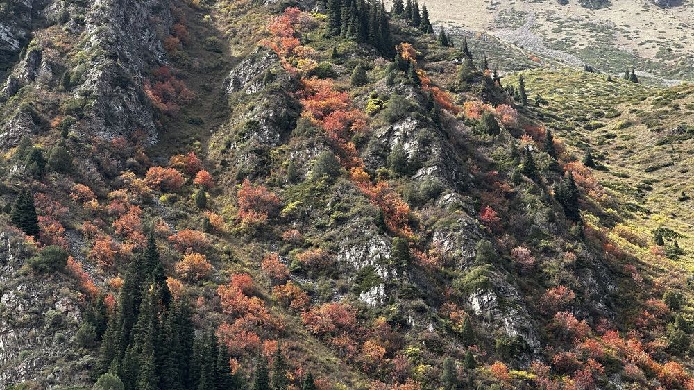 Photograph by Begaly Toktobaev