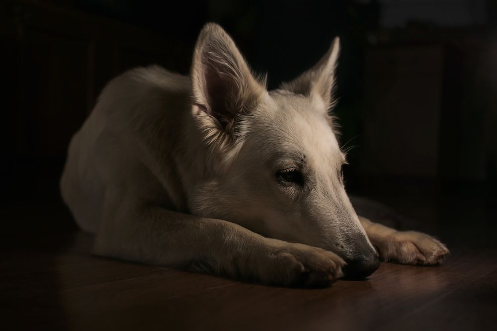 Photograph by Павел Зайцев