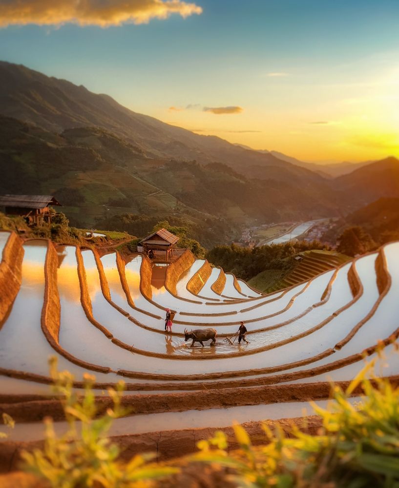 Photograph by Kevin Nguyen