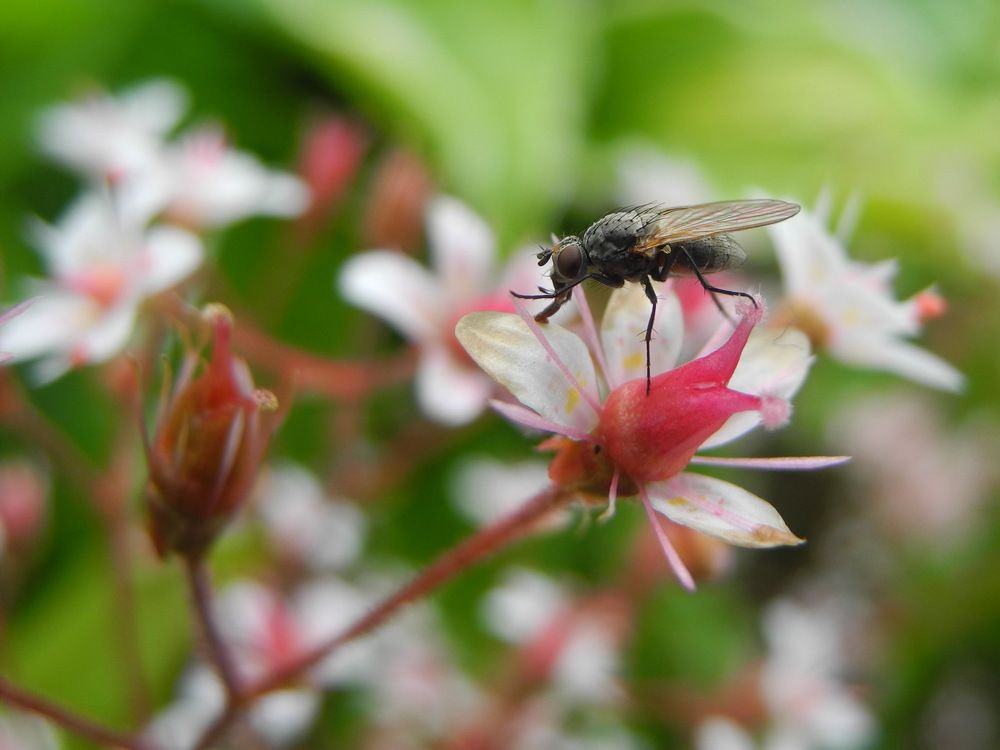 Photograph by Андрей Головин