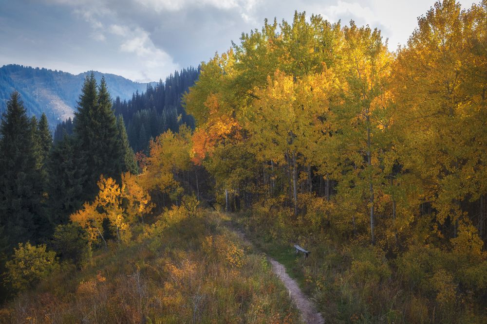 Photograph by Светлана Краюшкина