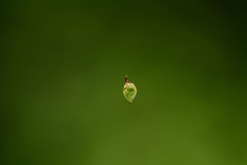 Фотография автора Юрий Макаров