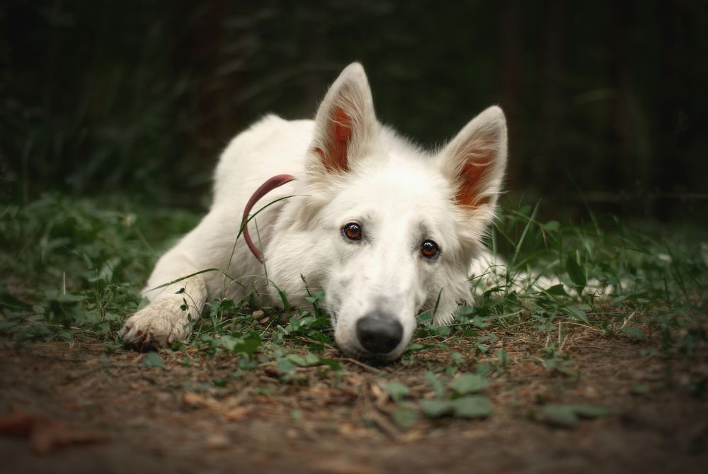 Photograph by Павел Зайцев