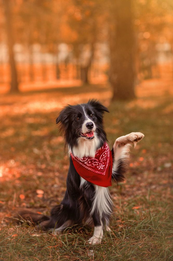 Photograph by Татьяна Муравкина