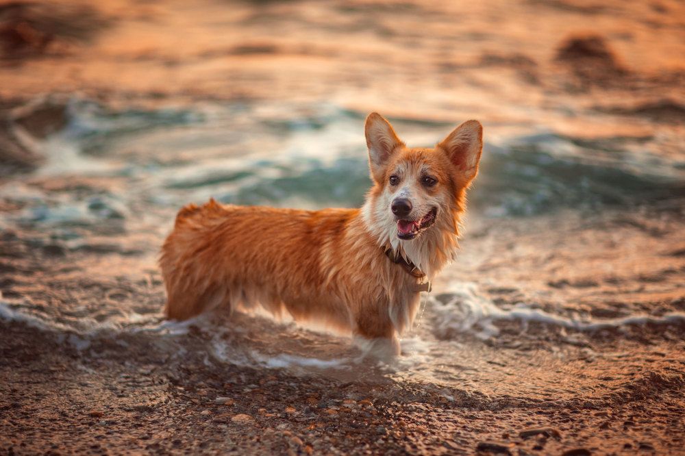 Photograph by Татьяна Муравкина