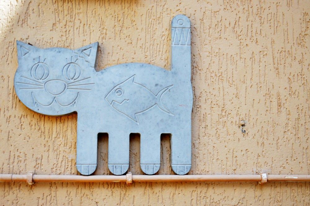 Photograph by Ольга Шевцова