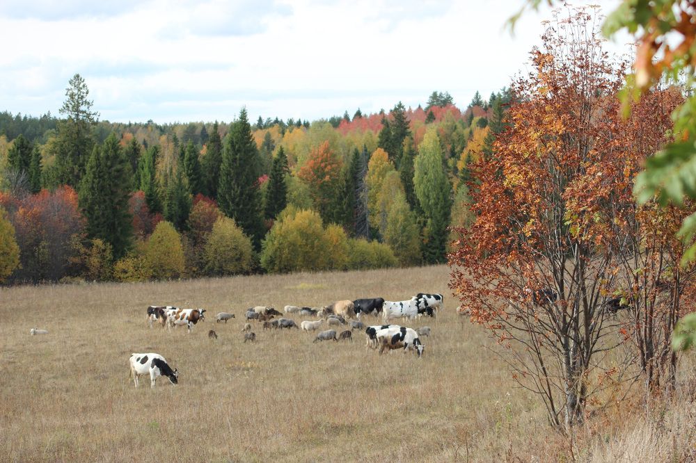 Photograph by Сергей Забиякин
