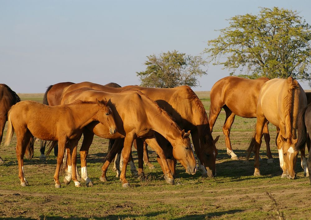 Photograph by Ольга Еремеева
