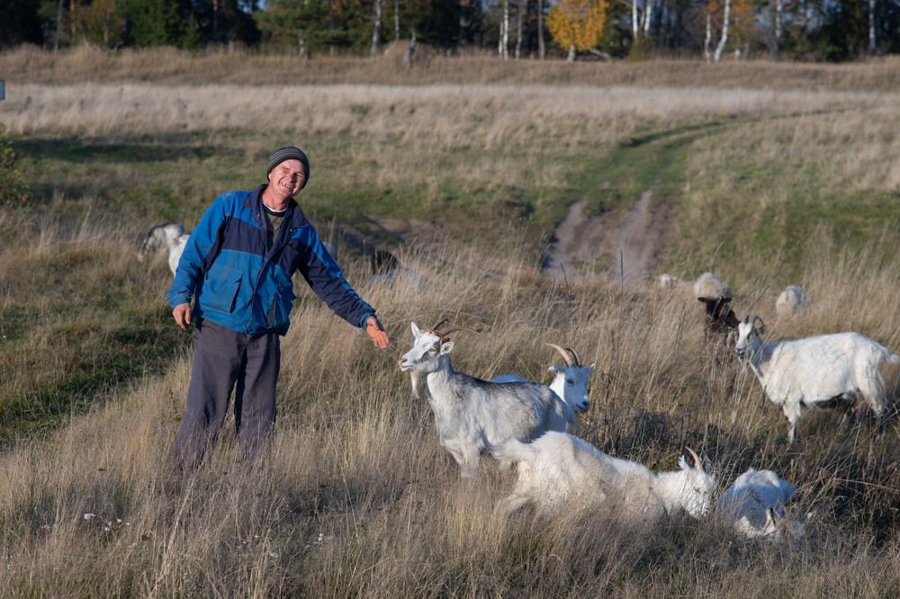Photograph by Сергей Забиякин