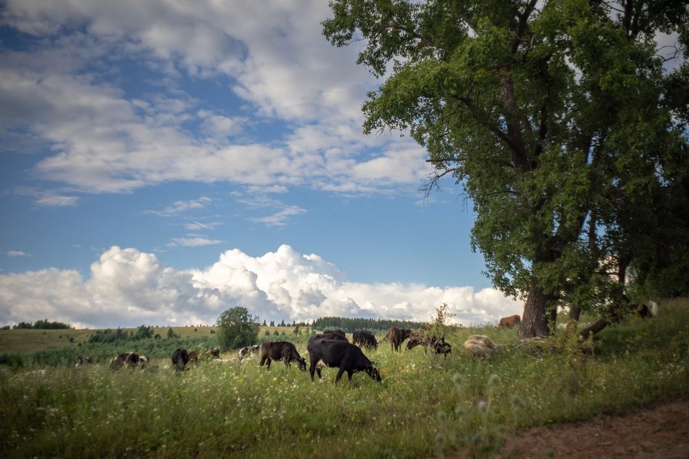 Photograph by Сергей Забиякин