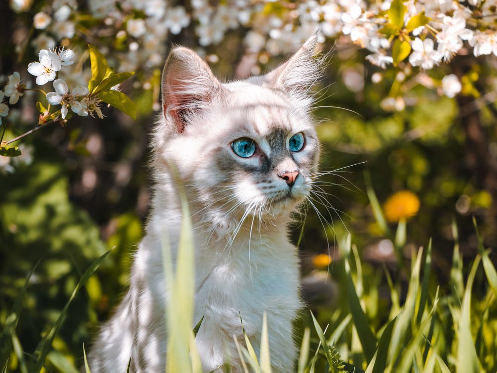 Photograph by Данила Черных