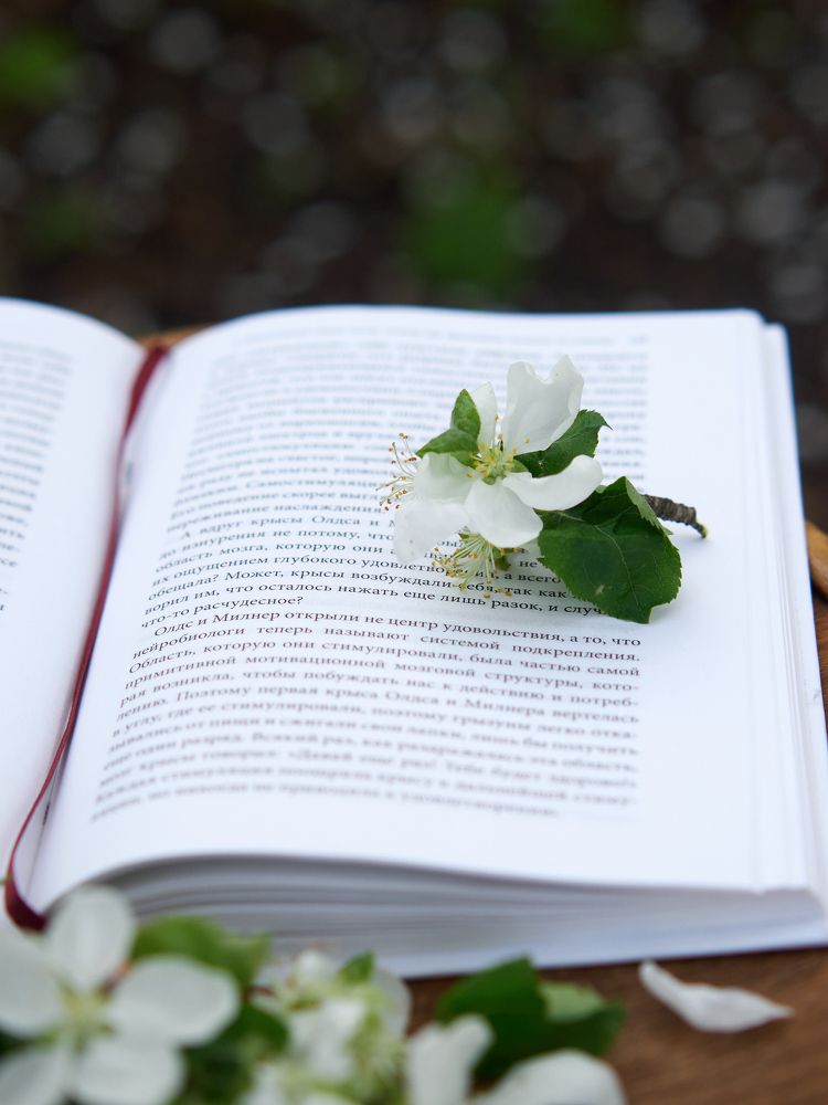 Photograph by Ирина Аверьянова