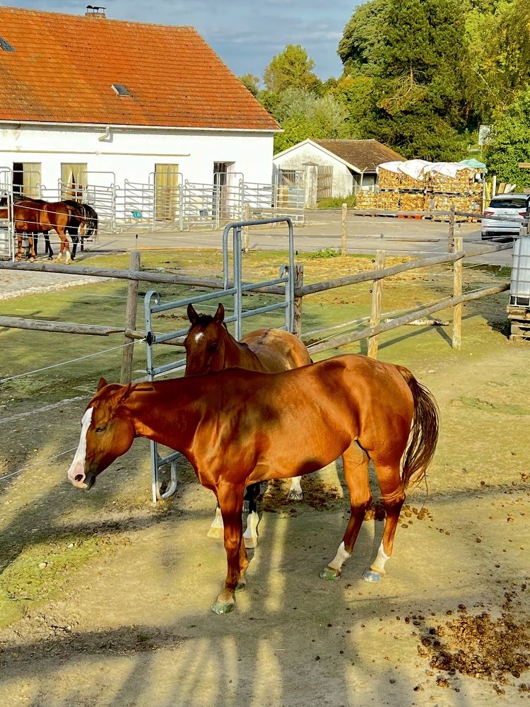 Photograph by Eugenia Schmidt