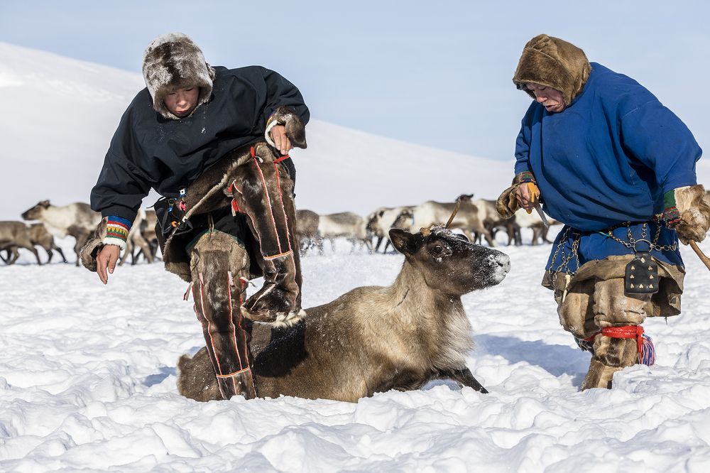 Photograph by Ольга