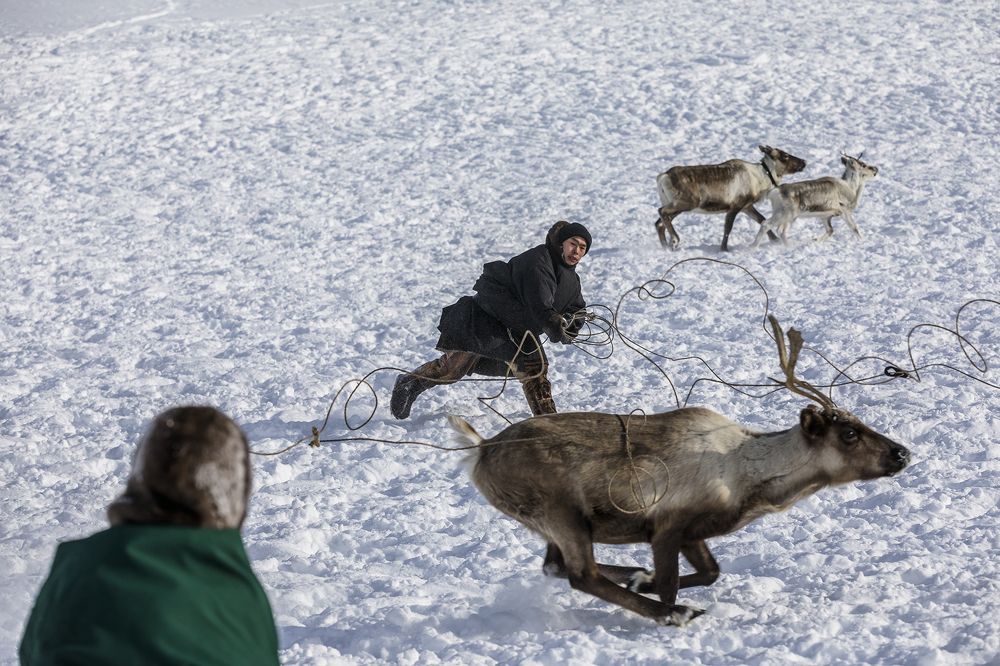 Фотография автора Ольга