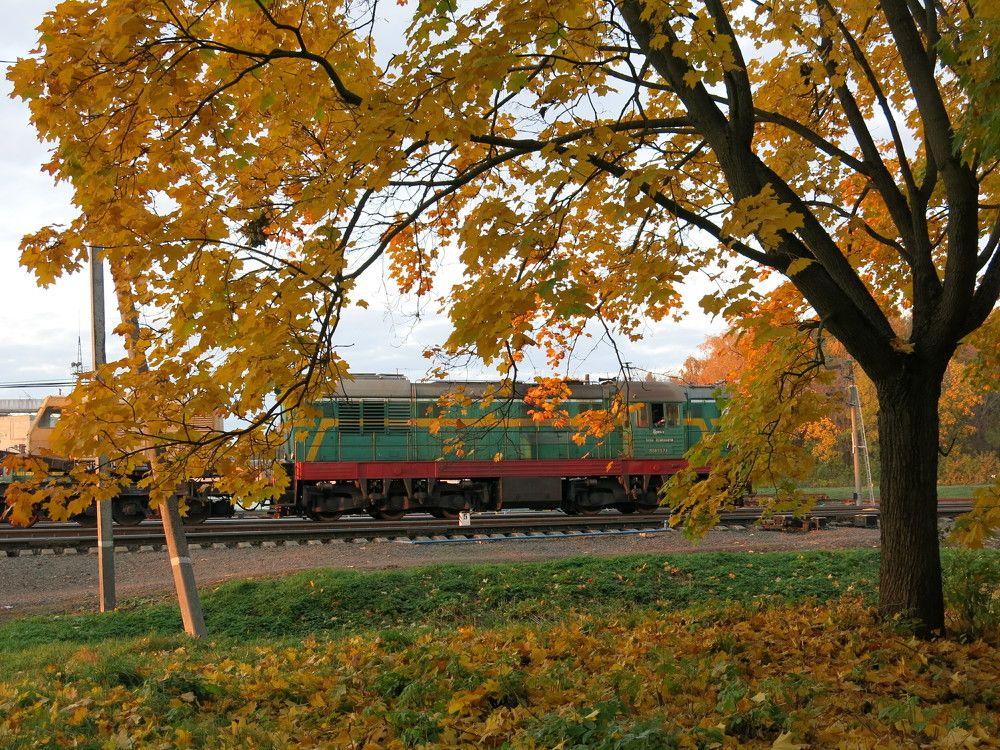 Photograph by ЭЛЬМИРА  ИСМАИЛОВА