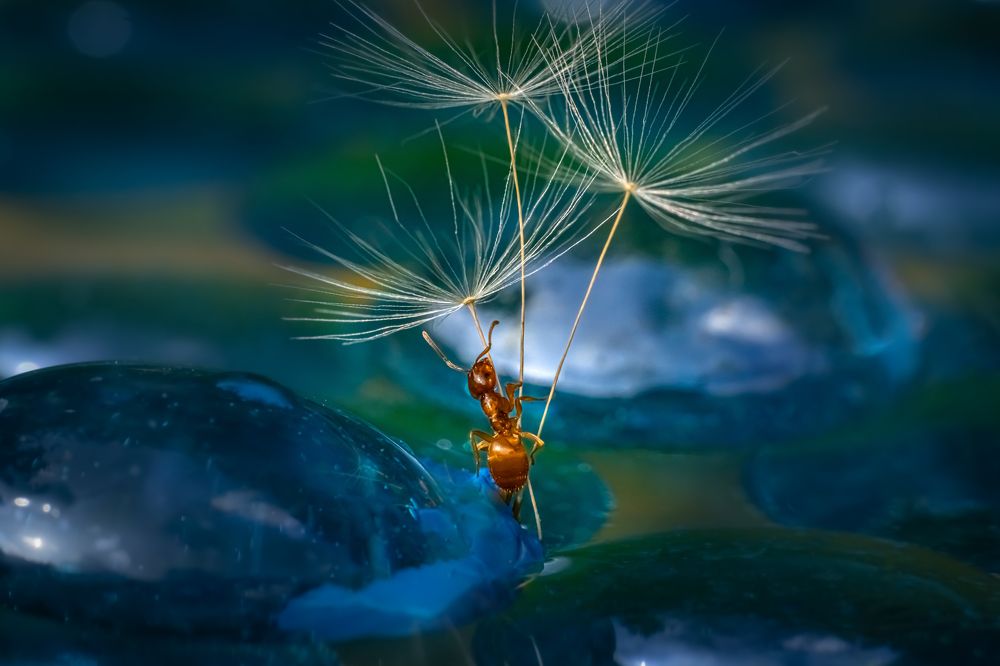 Photograph by Николай Фонарёв