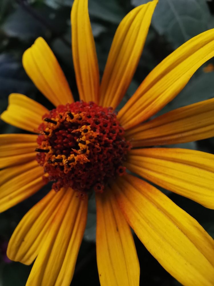 Photograph by Aleksandr Kolonsky