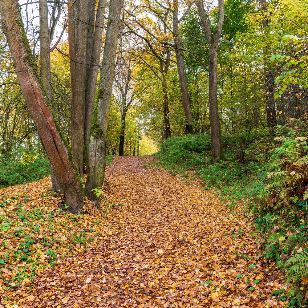 Photograph by Валерий Петухов