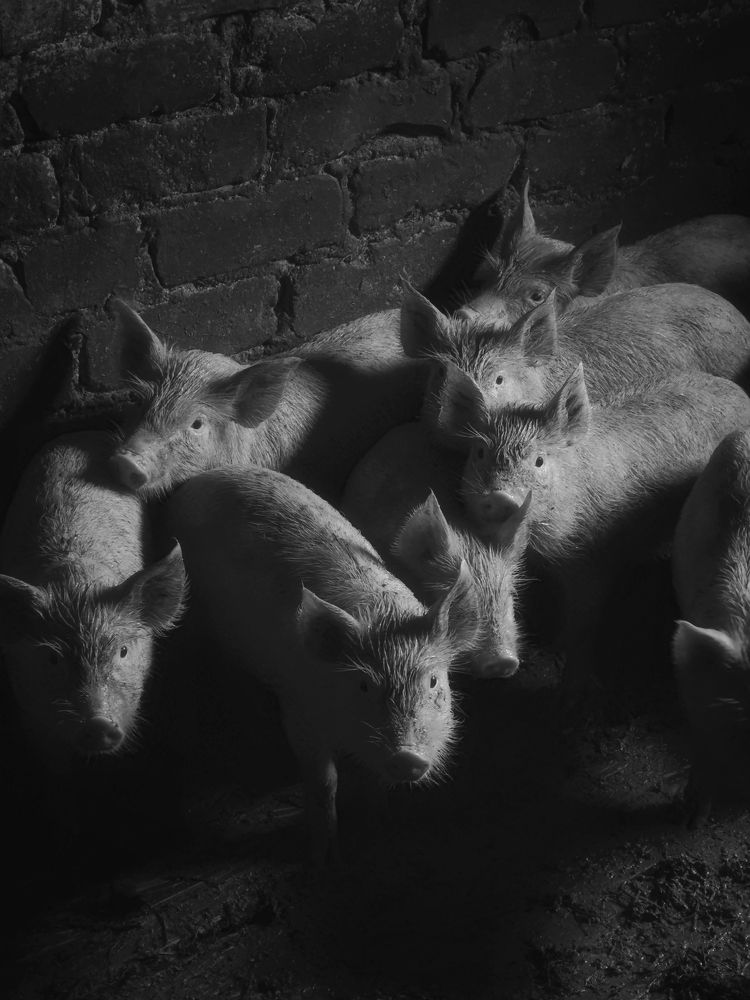 Photograph by Michael Kharitonychev